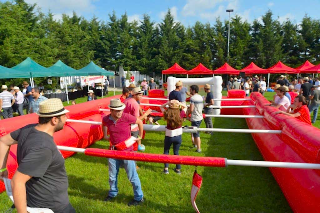 Aktivite Organizasyonu